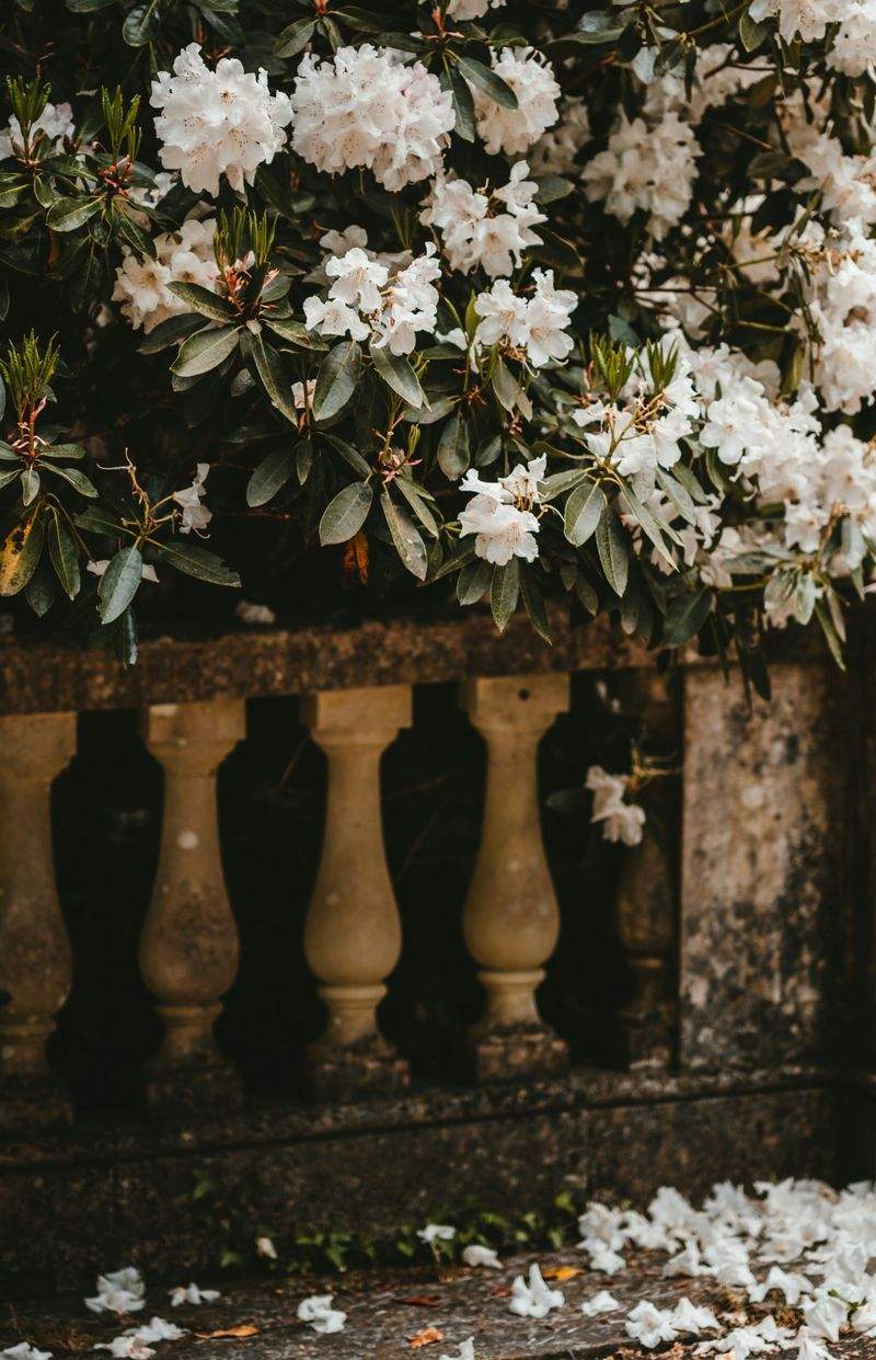 Winter Care Tips for a Healthier Garden Next Year