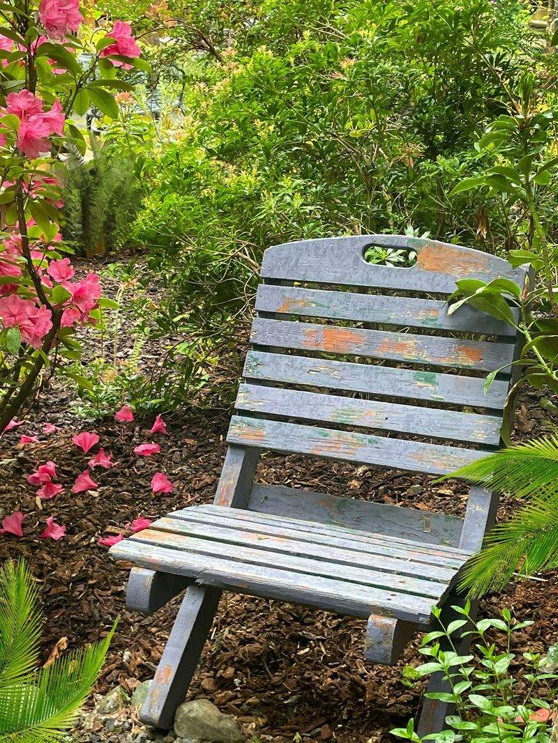 Maple Bloom Garden Co. 13