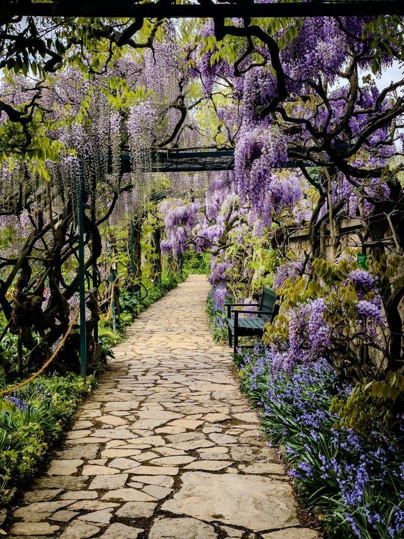 Maple Bloom Garden Co. 14